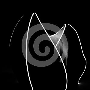 Composition features a series of overlapping, smooth, organic forms