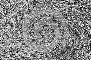 Abstract black and white spiral waves background