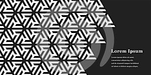Abstract black white triangle, geometric background, polygon pattern, network concept