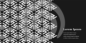 Abstract black white triangle, geometric background, polygon pattern, network concept