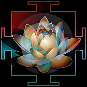 Abstract blooming lotus