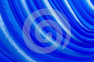 Abstract blue curves background