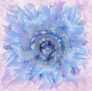 Abstract blue flower in watercolor style. Floral blue-pink background. For design, texture, cover, postcard.