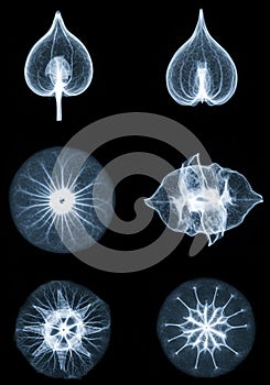 Abstract Blue Geometric Patterns and Shapes