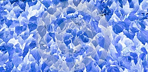 Abstract blue ivy leaves background