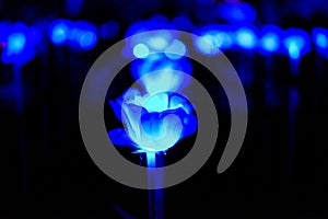 Abstract blue light flower