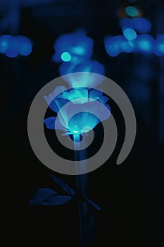 Abstract blue light flower