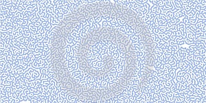 Abstract blue lines on white background. Chaotic lines texture. Pattern with labirint effect photo