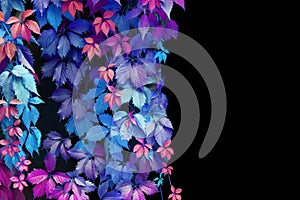 Abstract blue, purple, pink, red girlish grape leaves decorative pattern on black background isolated close up, copy space