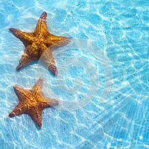 Abstract Blue sea tropical background with starfish on sand photo