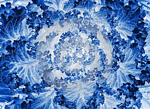 Abstract blue terxture