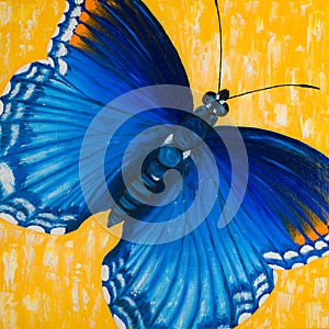 Abstract blue tropical Morpho butterfly on yellow background, oil painting photo