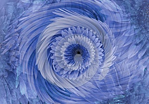 Abstract blue-violet bright floral background. Gerbera flowers petals close-up. Greeting card. Floral collage.