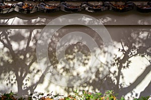 Abstract blur background, blurred black shadow of leaves from a tree on white color concrete surface cement wall of Japanese fence