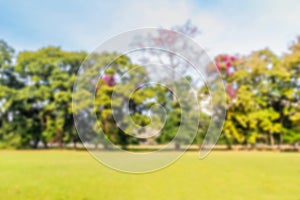 Abstract Blur background meadow and forest