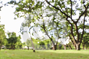 Abstract blur city park bokeh background