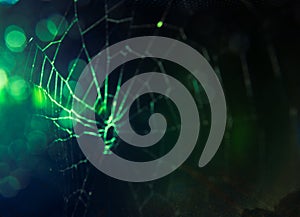 Abstract blur of Cobweb and bokeh