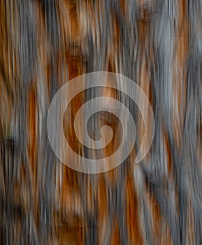 Abstract Blur design of Tree trunk Special Motion Effect