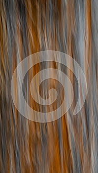 Abstract Blur design of Tree trunk Special Motion Effect