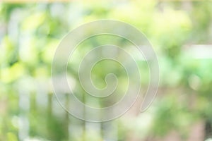 Abstract blur green color for background,blurred and defocused effect spring concept for design photo