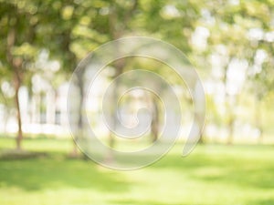 Abstract blur green color at garden for background,blurred and defocused effect spring concept for design photo
