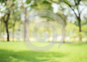 Abstract blur green color at garden for background,blurred and defocused effect spring concept for design photo
