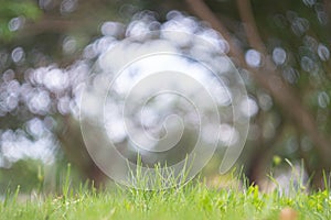 Abstract blur green exercise park in spring outdoor background concept for blurry beautiful nature field, horizon autumn meadow. photo