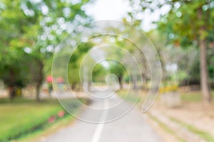 Abstract blur green nature city park background - Nature green