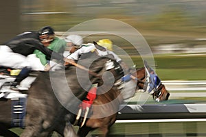 Abstract Blur Horse Race