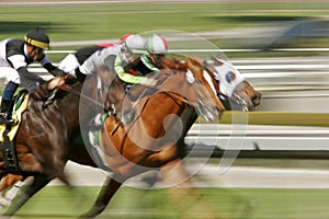 Astratto sfocatura un cavallo la gara 