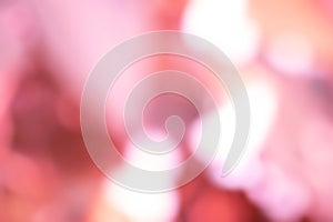 Abstract blur light gradient pink soft pastel color wallpaper background