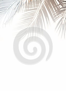 Abstract blur of tropical leaves pattern background.luxury palm leaf design with shadow.nature concepts