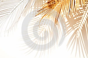 Abstract blur of tropical leaves pattern background.luxury palm leaf design with shadow.nature concepts