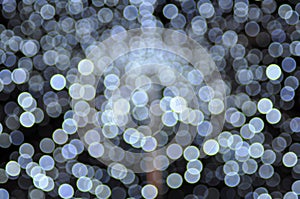 Abstract blur white glitter sparkle background festive background concept.