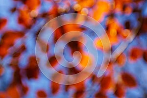 Abstract Blurred Autumn Background