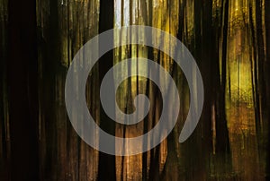 Abstract blurred autumn forest scene. Modern landscape ICM background