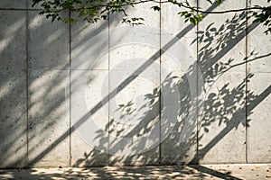 Abstract blurred background with leaf shadows