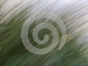 Abstract blurred background illustration for your design photo