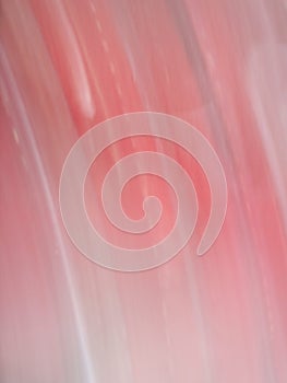 Abstract blurred background illustration for your design photo