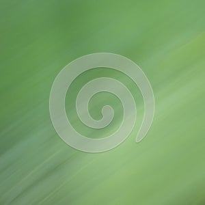 Abstract blurred background illustration for your design photo