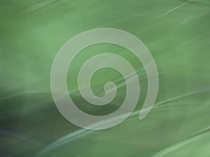 Abstract blurred background illustration for your design photo