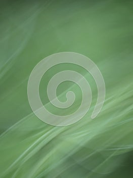Abstract blurred background illustration for your design photo