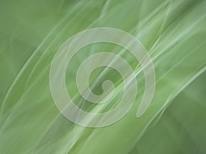 Abstract blurred background illustration for your design photo