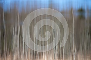 Abstract blurred background. Reflection of tree trunks and the sky in the river. Creative photo. Spring flood. Brown blu abstract