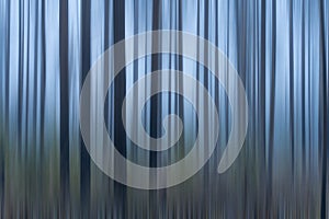 Abstract blurred background of tree trunks in a misty forest