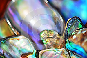 Abstract blurred background vivid bright colors abalone paua shells