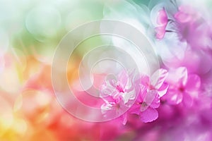 Abstract Blurred floral spring background with copy space. Summer bright banner with empty place for textAi, Ai Generated