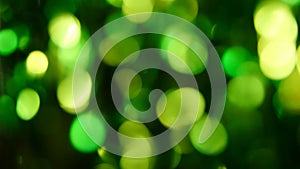 Abstract blurred green lights for new year background
