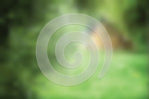 Abstract blurred green nature