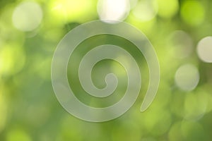 Abstract blurred green nature environment on daylight background